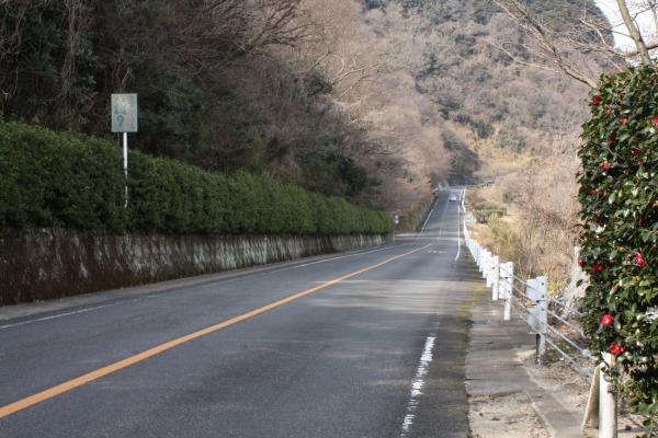 上り坂が下り坂に見える画像